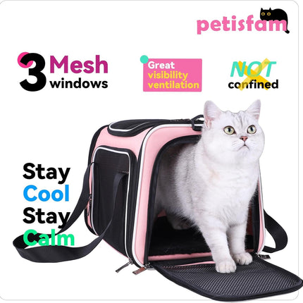 Soft Pet Carrier for Medium Cats and Small Dogs