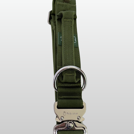 Bully Wags Tactical Dog Collar with Handle – Cactus Green 1.5”