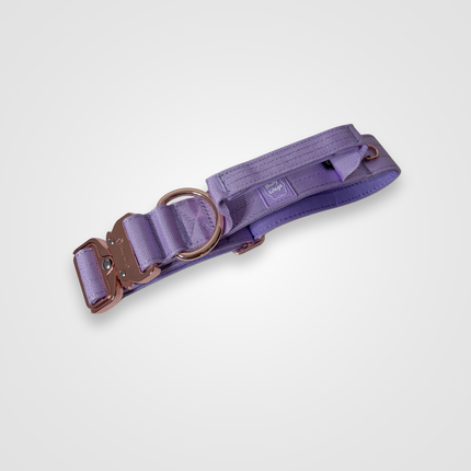 Bully Wags Tactical Dog Collar with Handle – Lilac 1.5”