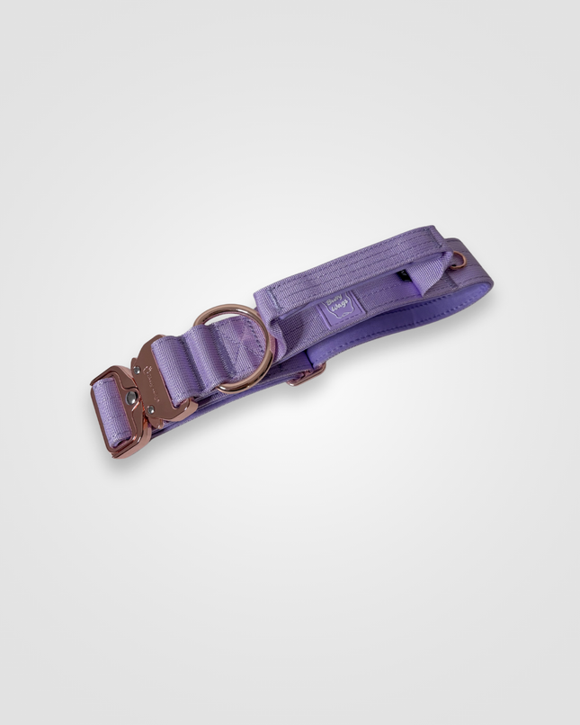 Bully Wags Tactical Dog Collar with Handle – Lilac 1.5”