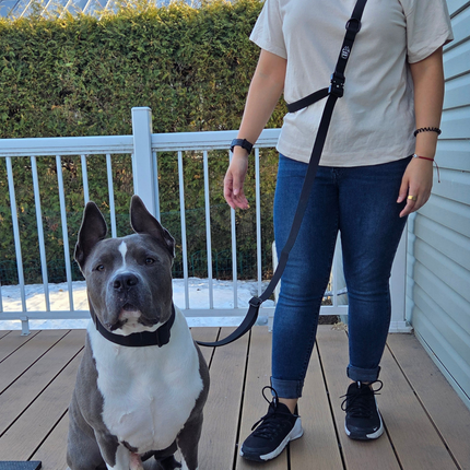 Multi‑Way Hands‑Free PVC Leash