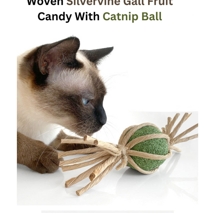 Woven Silvervine Gall Fruit Candy With Catnip Ball