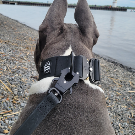 2 inch Waterproof PVC Dog Collar 2.0