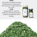 Extra Fancy Catnip, 10g