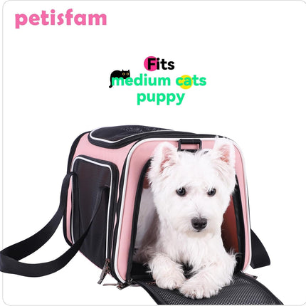 Soft Pet Carrier for Medium Cats and Small Dogs