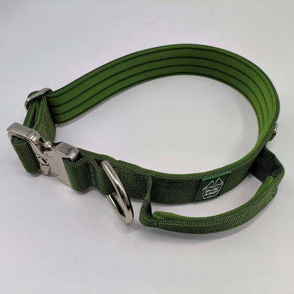 Bully Wags Tactical Dog Collar with Handle – Cactus Green 1.5”