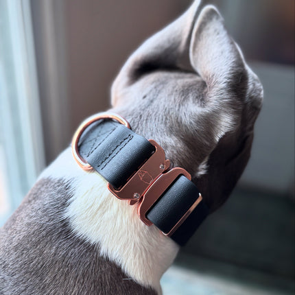 2 inch Waterproof PVC Dog Collar 2.0