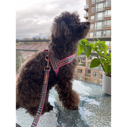 Puccissimé Pet Couture Princess Houndstooth Pink One-Click Dog Harness