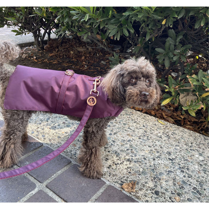 Puccissimé Pet Couture Burgundy Waterproof Insulated Dog Rain Jacket