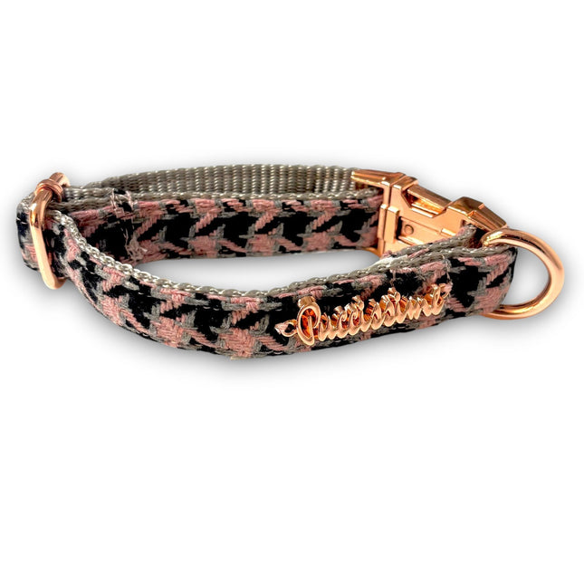 Puccissimé Pet Couture Dog Collar - Elite
