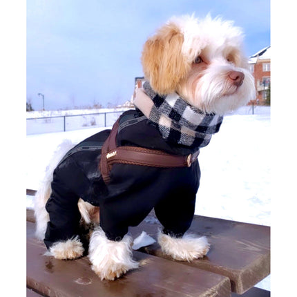 Puccissimé Pet Couture One-Click Dog Harness - Grizzly