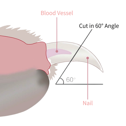 Noba LED Nail Clipper for Cats & Dogs