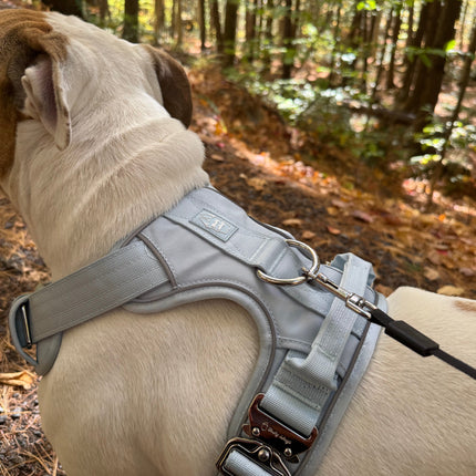 Heavy-Duty Everyday Harness - Baby Blue