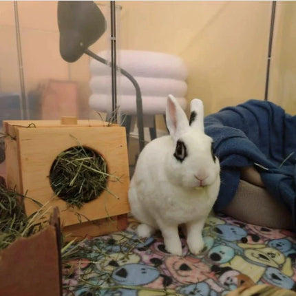 Hippity Hop Pet Shop Mini Hay Feeder for Rabbits & Guinea Pigs