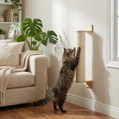 Collection image for: Cats - Scratching Posts