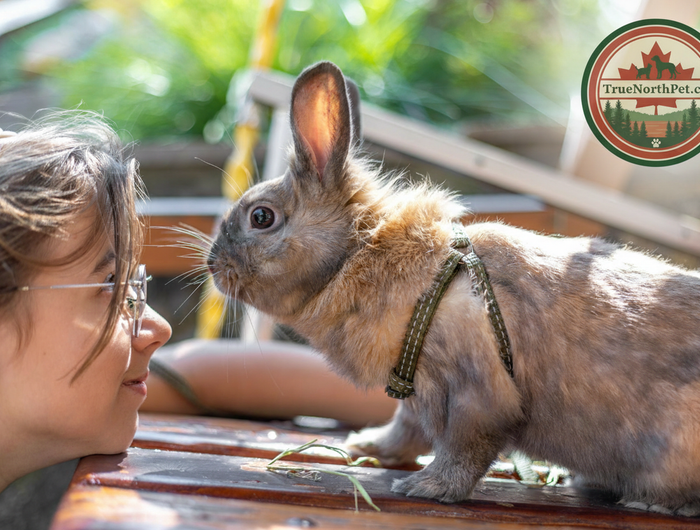 Hero Slide - Logo No White Box