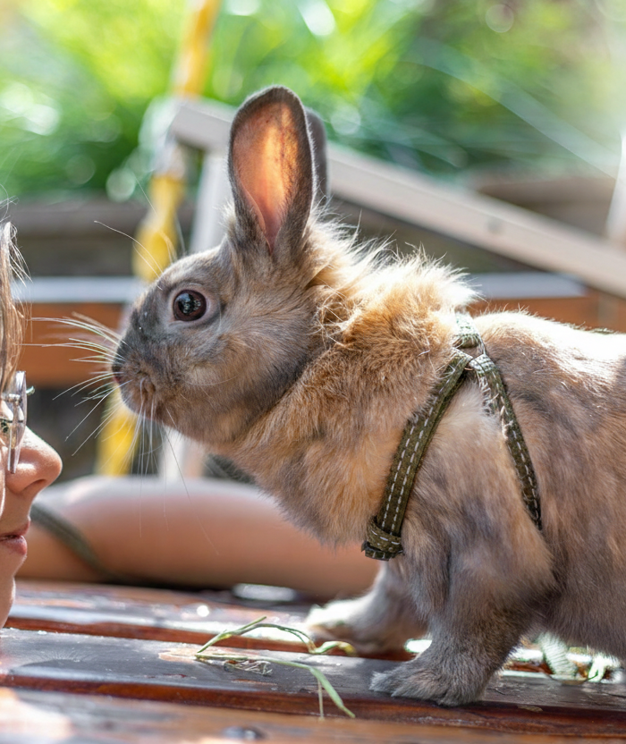 Hero Slide - Logo No White Box