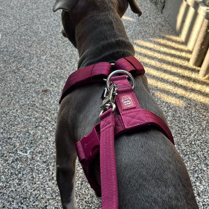 Bully Wags Tactical Heavy-Duty Dog Leash - Cherry Wine