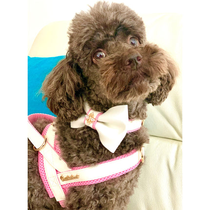 Puccissimé Pet Couture One-Click Dog Harness - My Baby Girl