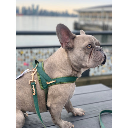 Puccissimé Pet Couture One-Click Dog Harness - Jade
