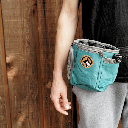 Large Treat Pouch - Teal