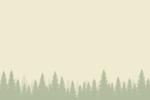 Newsletter background with varied tall pine trees