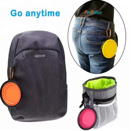 Portable Silicone Pet Bowl with Carabiner Clip, Collapsible, 350 ml