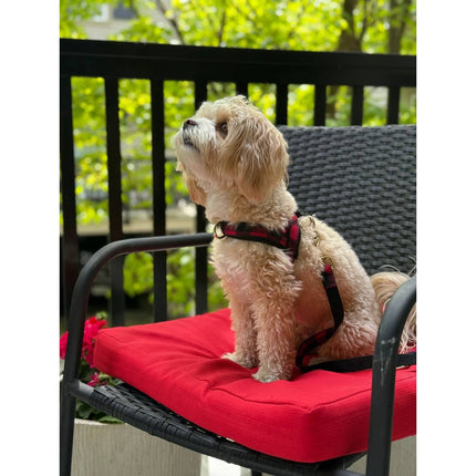 Puccissimé Pet Couture One-Click Dog Harness - Canada Buffalo Plaid
